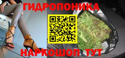 герыч Кингисепп