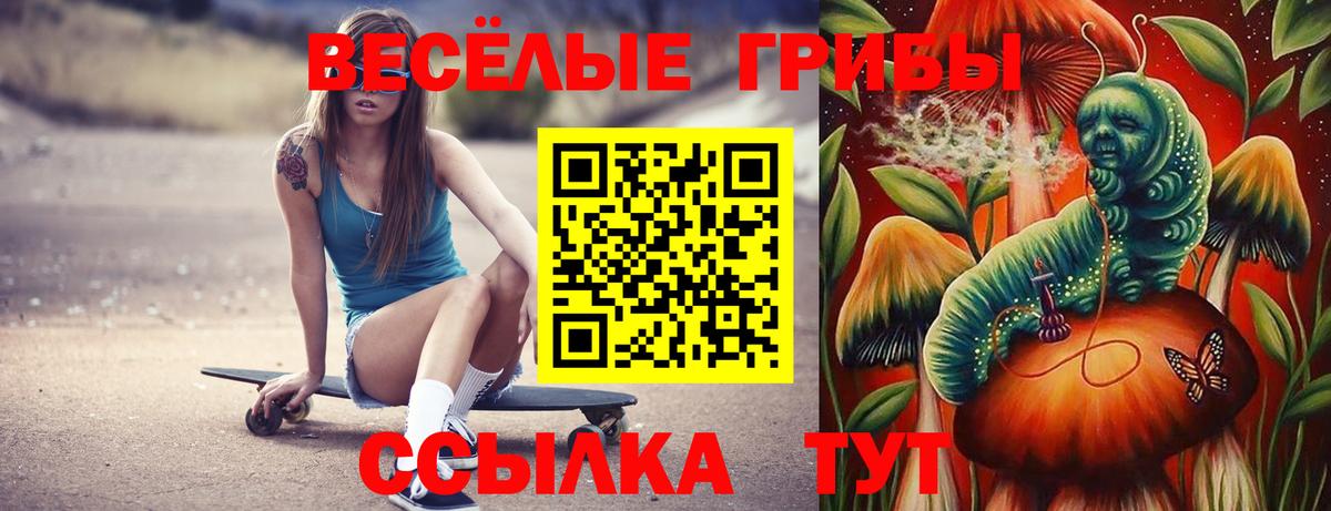 Галлюциногенные грибы MAGIC MUSHROOMS  Вход с VPN  Удомля 